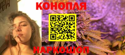 шишки Краснодар