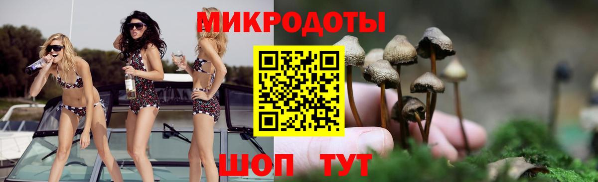 Звенигород  Галлюциногенные грибы MAGIC MUSHROOMS  Псилоцибиновые грибы Psilocybe  Вход с VPN 